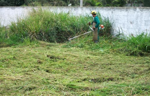 Trabalhador realizando limpeza de terreno com mato alto em Lins/SP